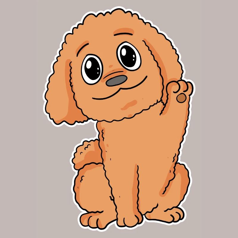 Pudel Hunderasse Hund Hunde