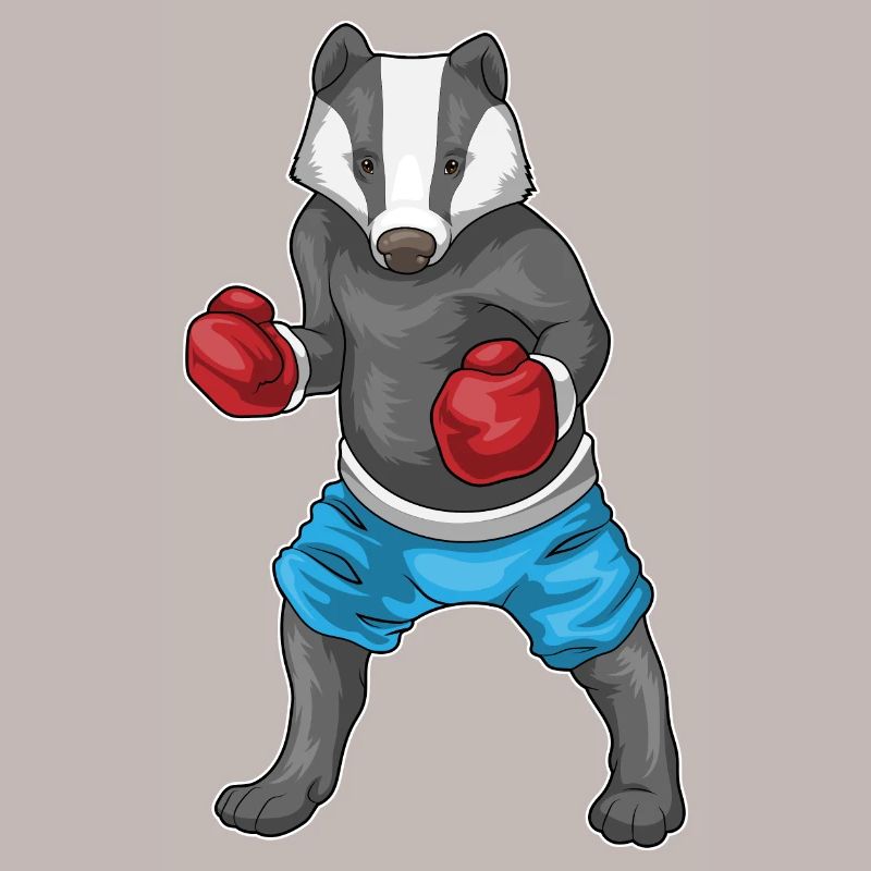Badger Boxer Gants de boxe Boxe