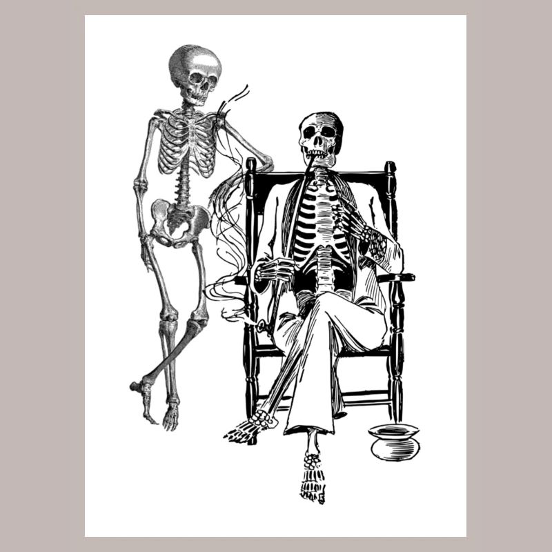 Skeleton