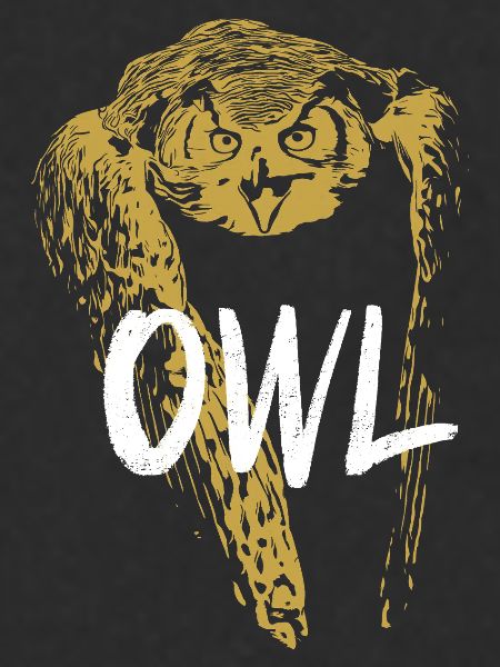 Modern Calligraphy Owl Illustration