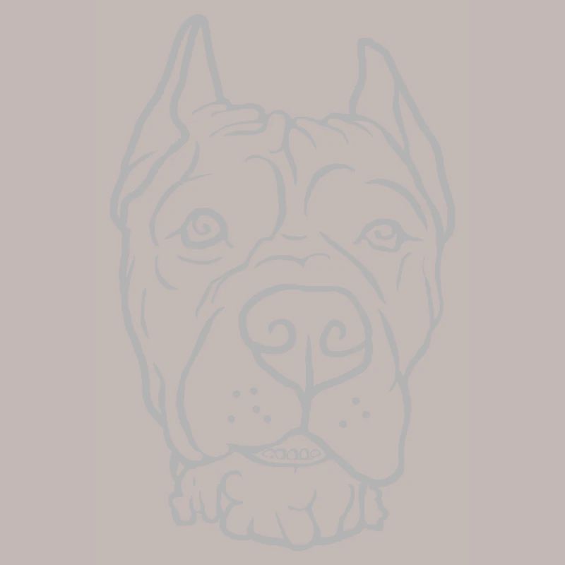 Cane Corso Head
