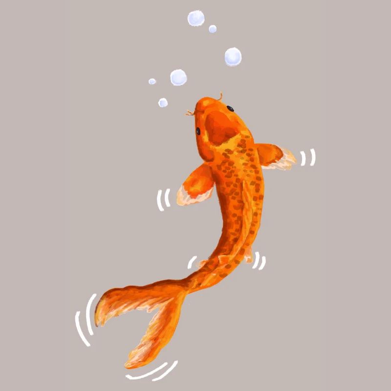 Water-colored koi in bubbling flight