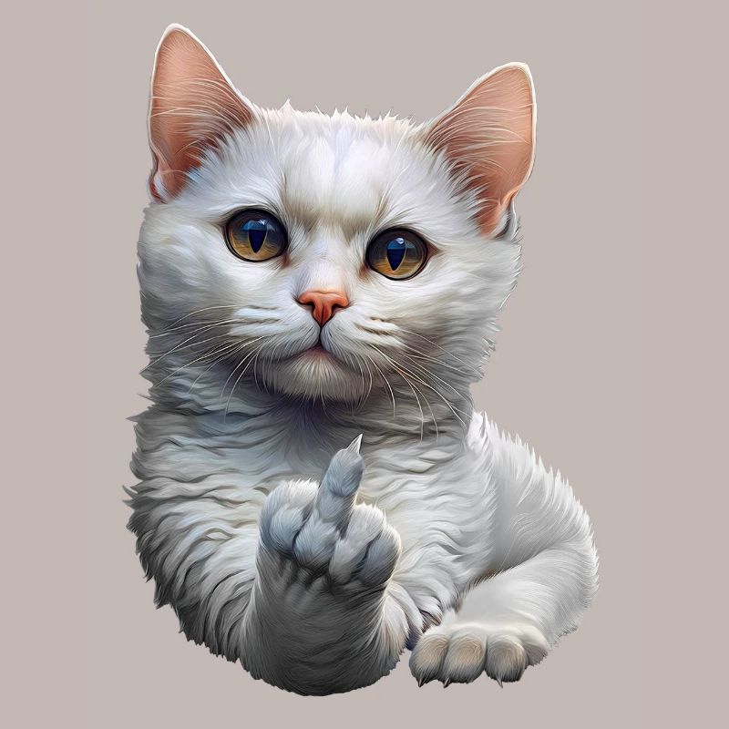Chat