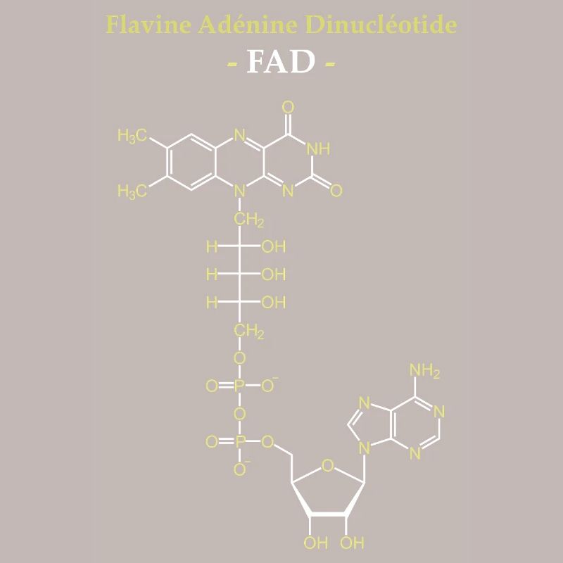 ADF Flavin Adenine Cofactor