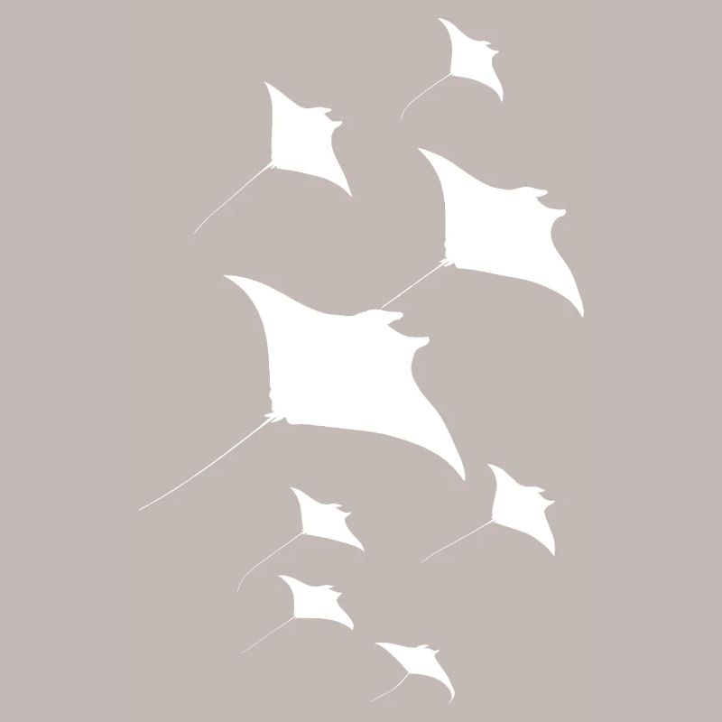 Manta Ray, Devil Ray, Stingray, Diver