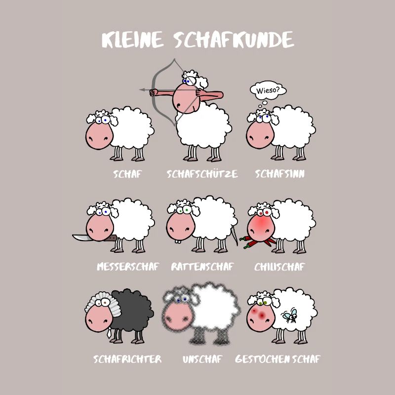 Kleine Schafkunde