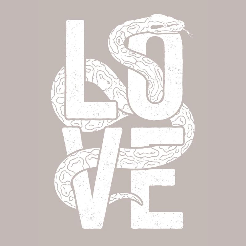 Königspython Schlangen LOVE Terrarium Python