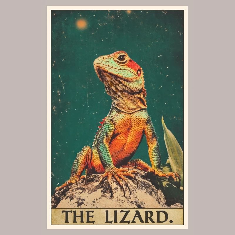 Lizards Lizard