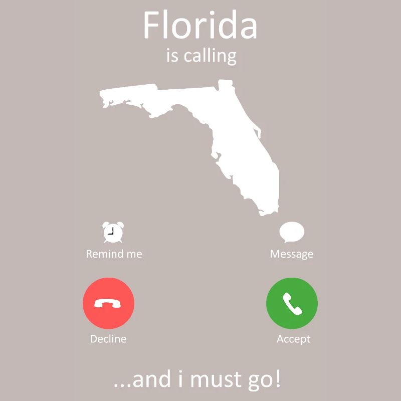 Interface de Floride et Interface I’Must Go
