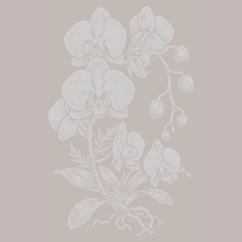 Orchidée Linework Silk Floral