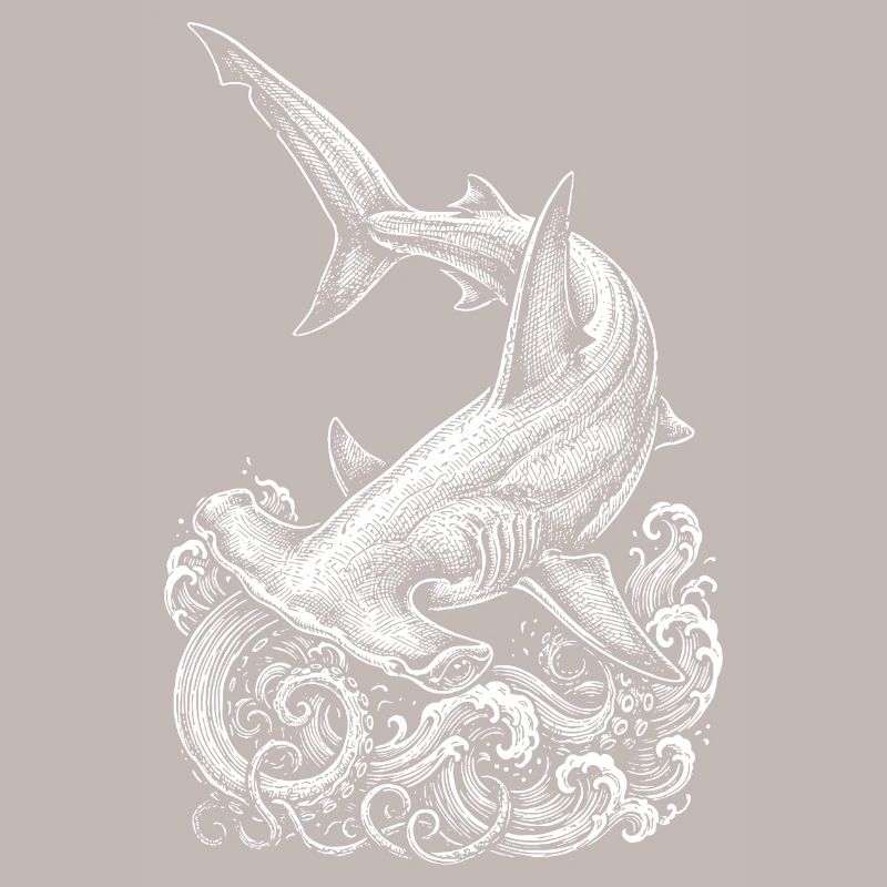 Conception du requin-marteau