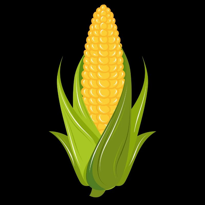 Hand drawn corn on the cob with leaves