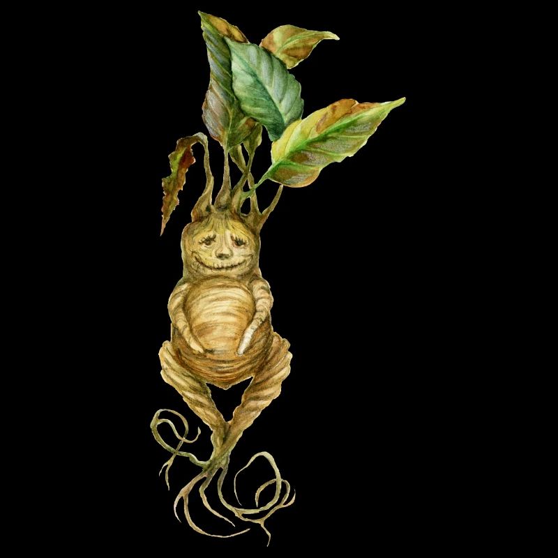 Root Creature Fantasy Mythical Creature Design