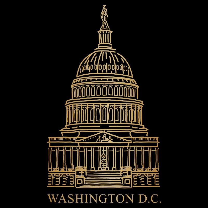 Capitole, siège du Congrès Washington D.C., États-Unis