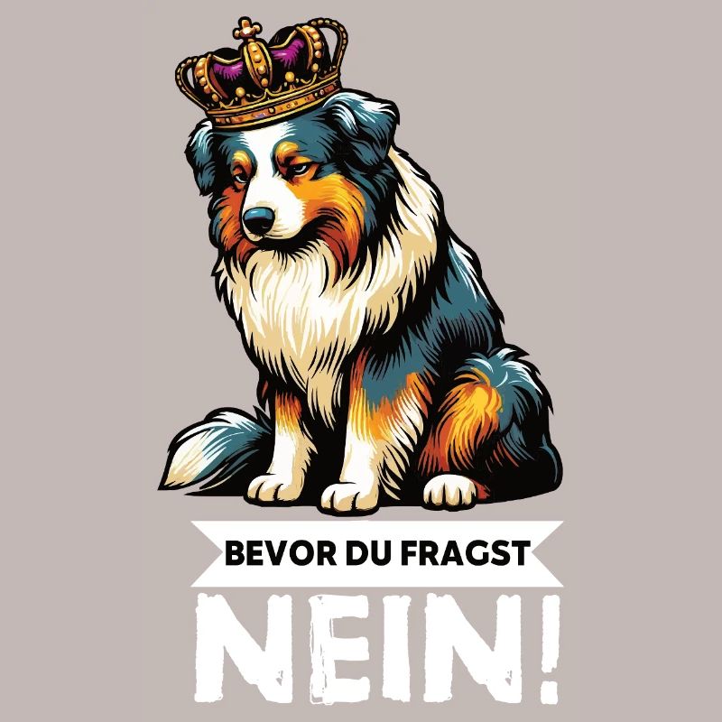 Bevor Du Fragst Australian Shepherd Aussie Aussie