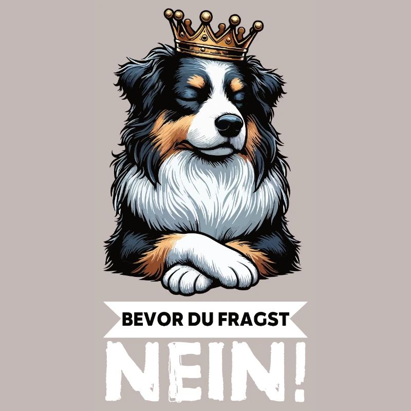 Bevor Du Fragst Australian Shepherd Aussie Aussie
