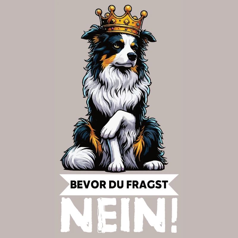 Avant que vous ne demandiez : Berger australien Aussie Aussie