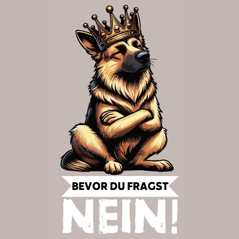 Before you ask German Shepherd Shepherds