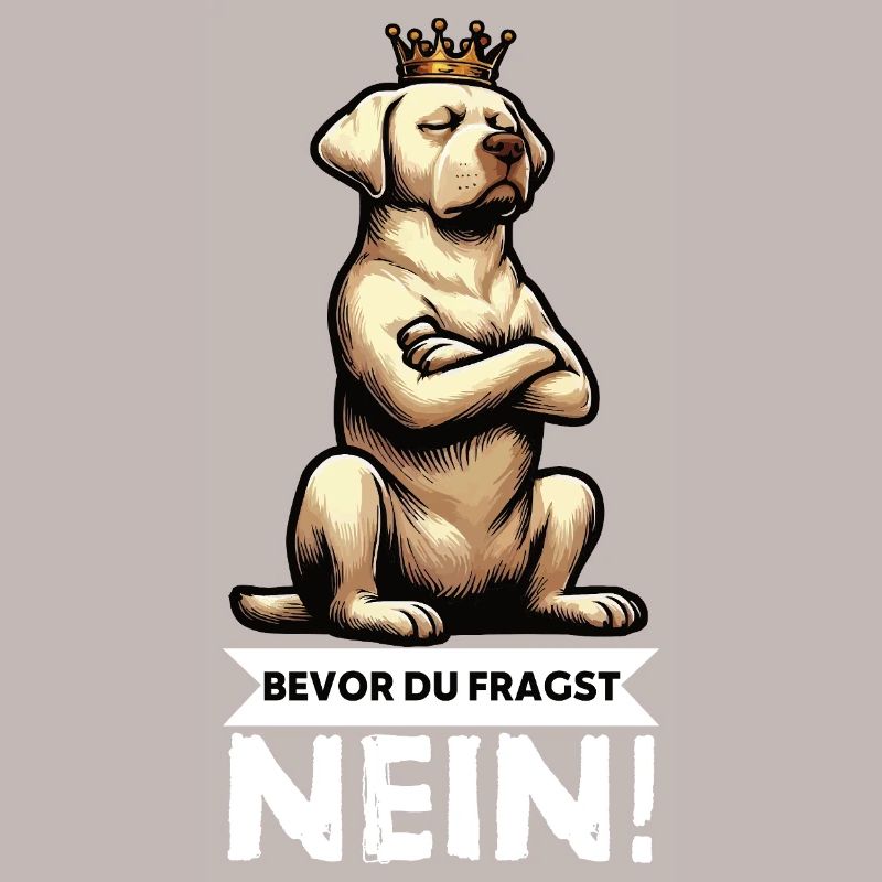 Avant que vous ne demandiez : pas de propriétaire de Labrador Labrador