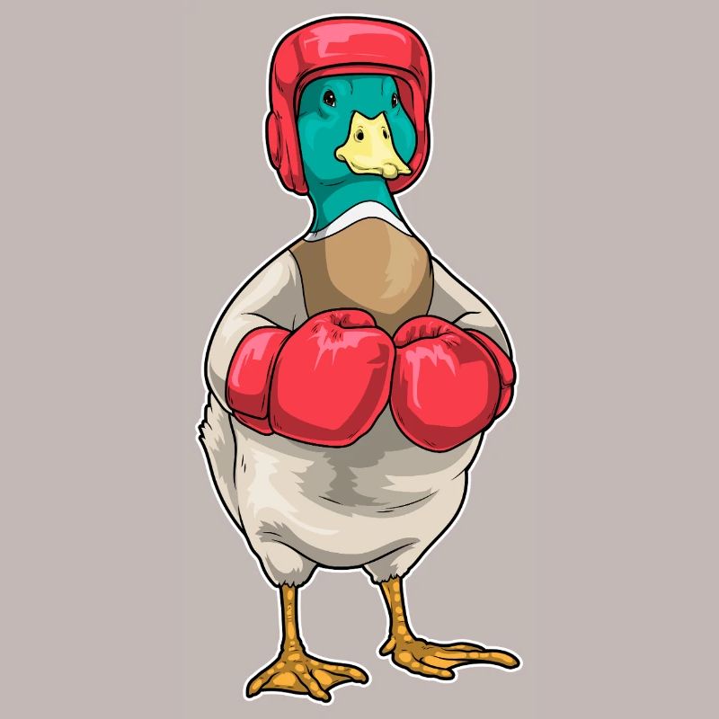 Duck Boxer Gants de boxe Boxe Boxe