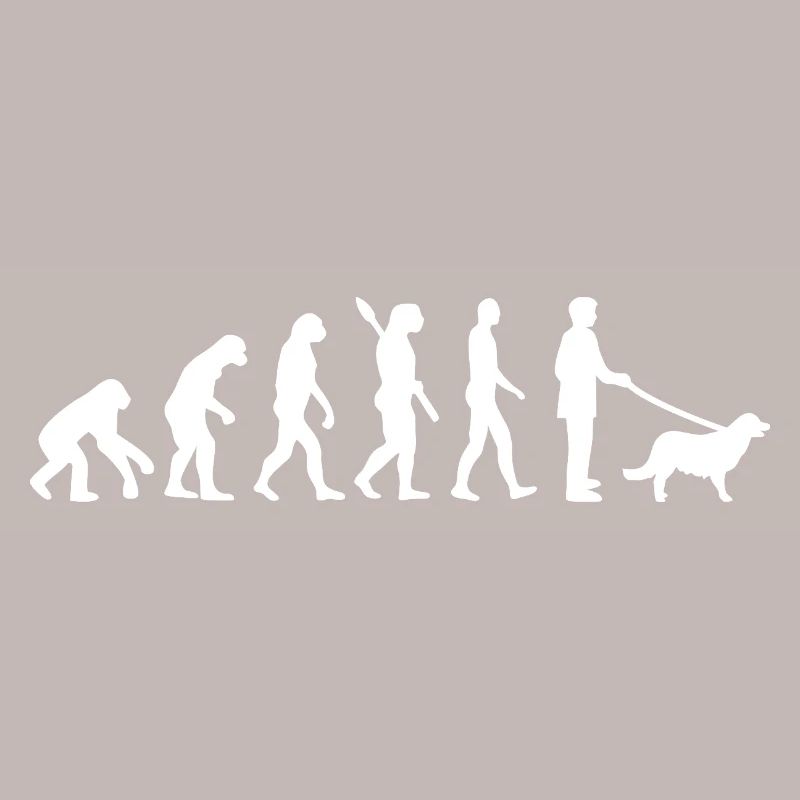 Evolution to Dog Walker