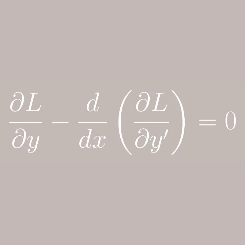 Euler-Lagrange-Gleichungsfundamentalphysik