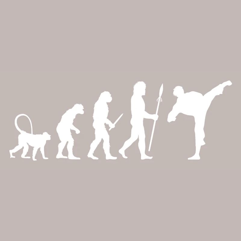 Karate Evolution