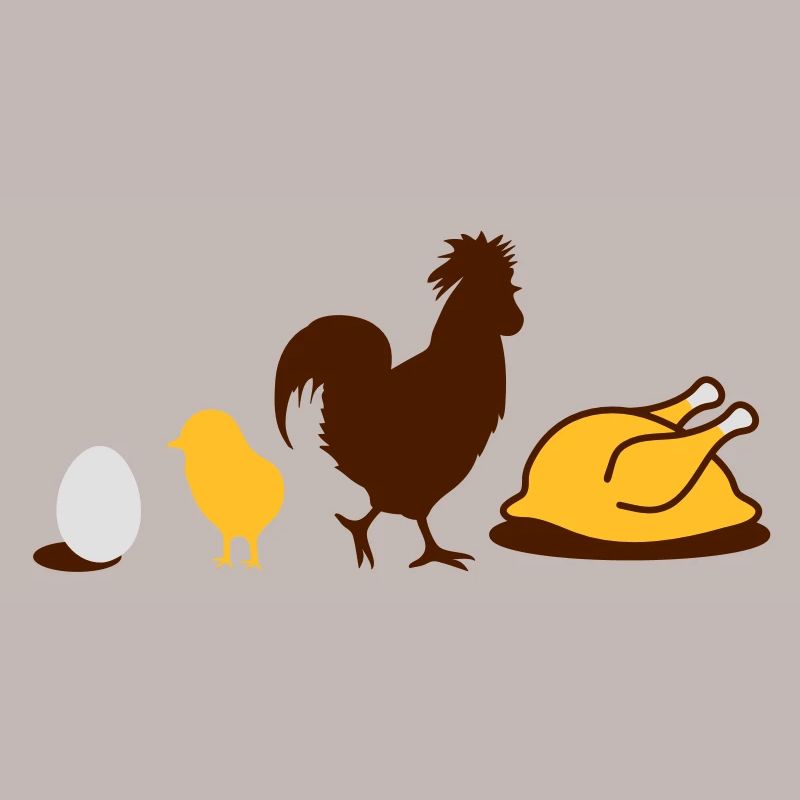 Egg,chick, rooster and chicken poultry Evolution