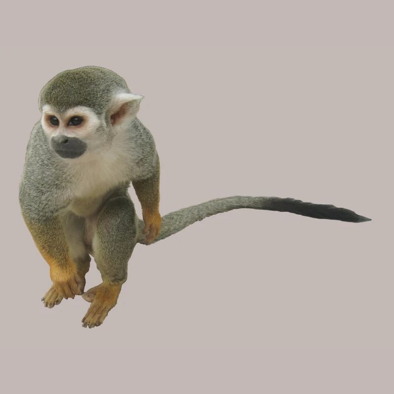 Affe