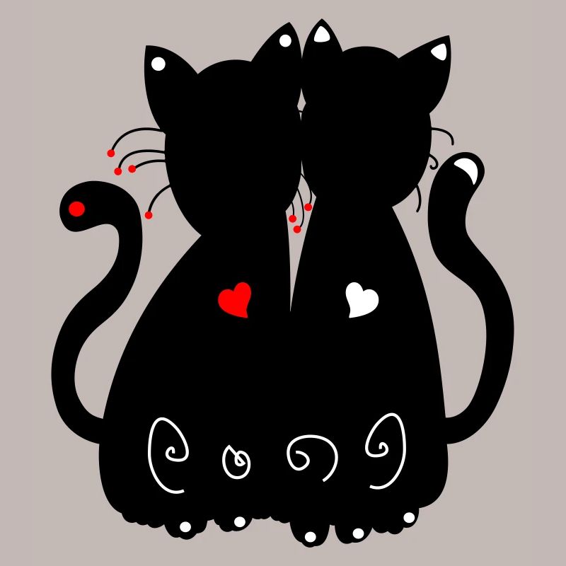 chats noirs
