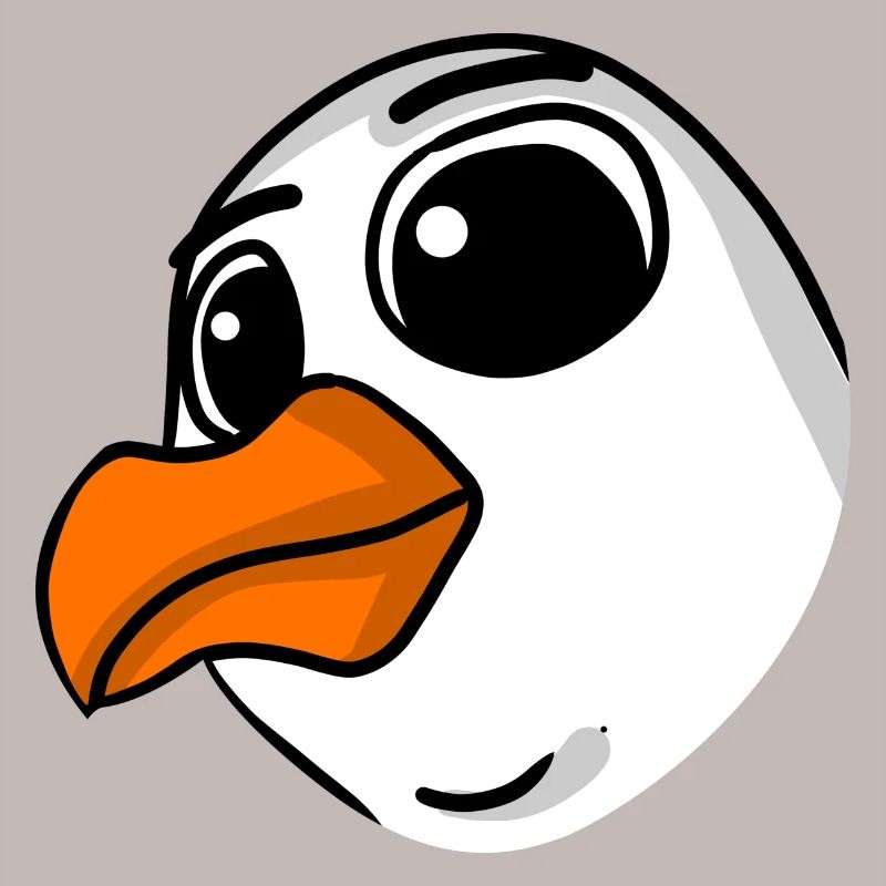 Möwe Kopf
