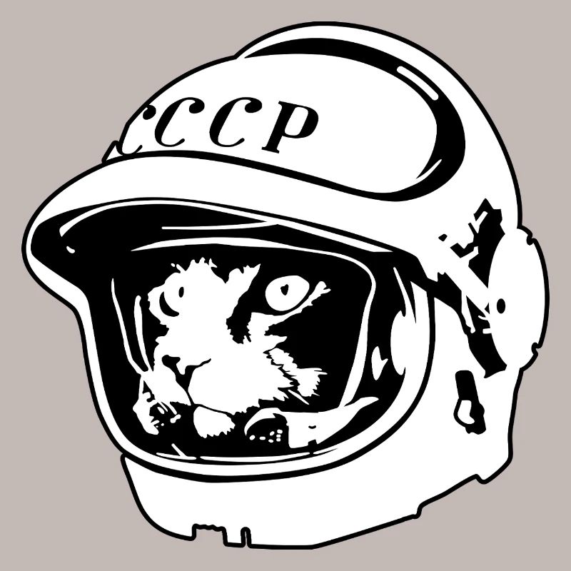 Kosmo Cat – Aventure spatiale et astronomique