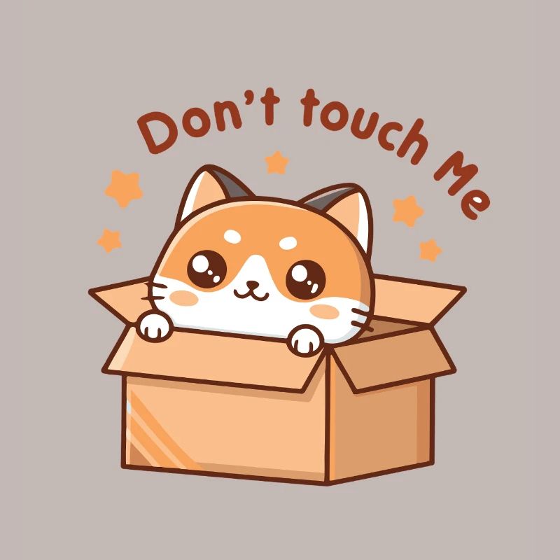 Kitten in a box Don't Touch Me