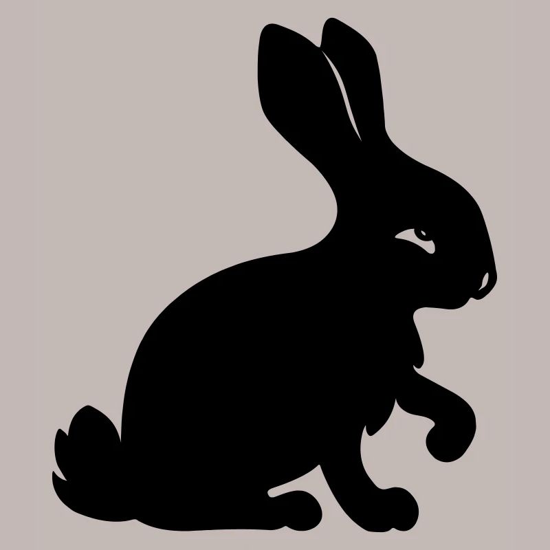 Rabbit shadow image year of the rabbit