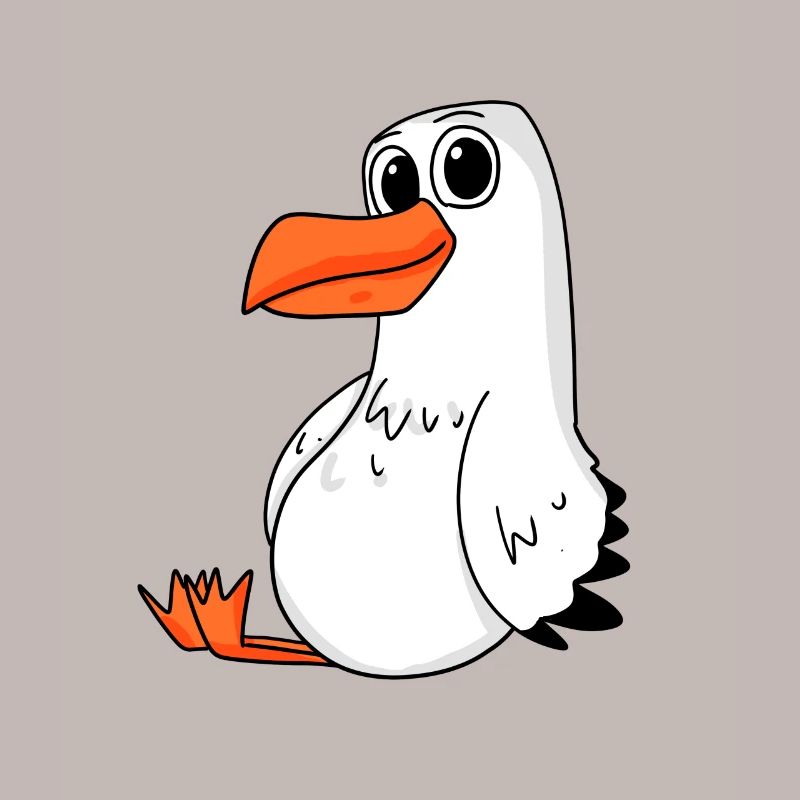 Möwe