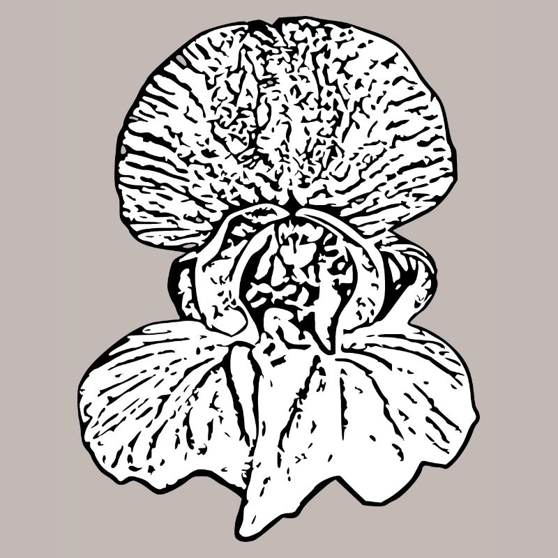 Muttertags Geschenk Mutter Muttertag Geschenkidee 