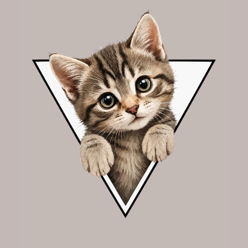 Kitten in the triangle