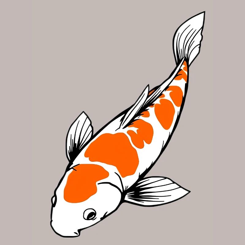 Koi Fish