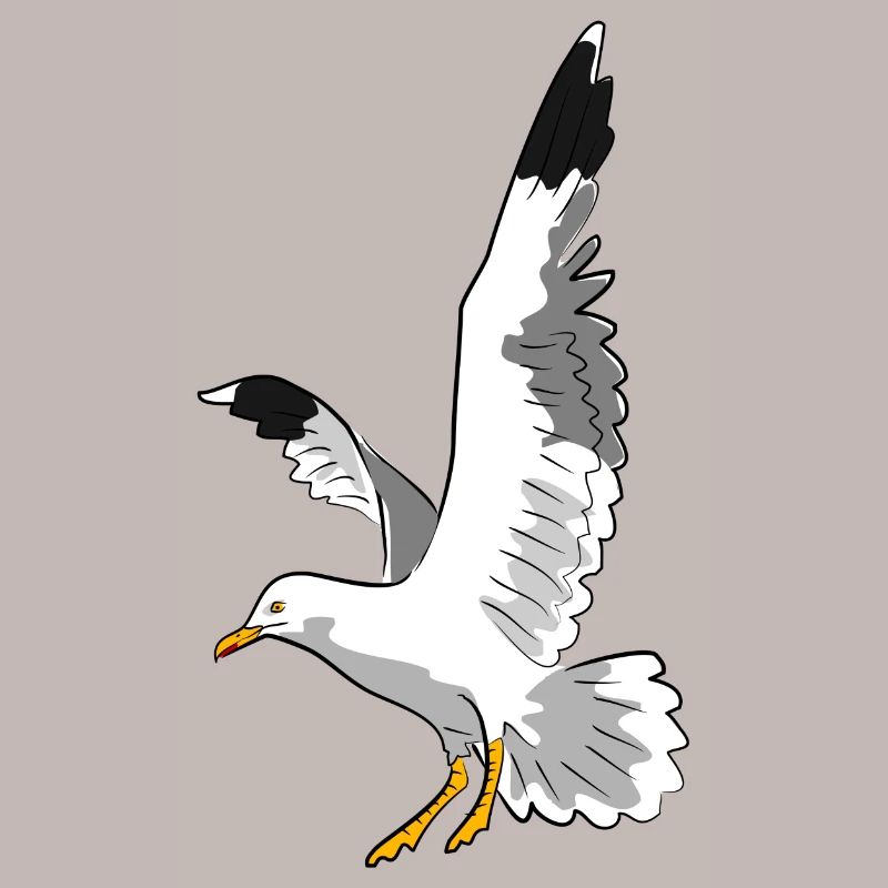 vogel möwe strand