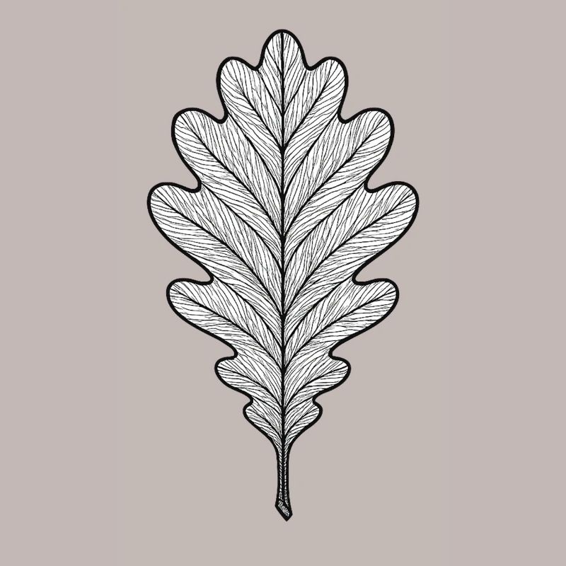 Monochromes Eichenblatt-Design