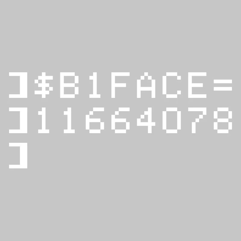 B1FACE Biface Code hexadécimal 8 bit Geek