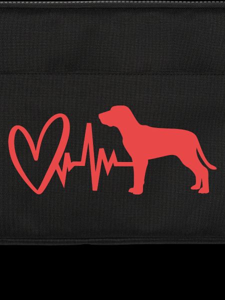 Redbone Coonhound