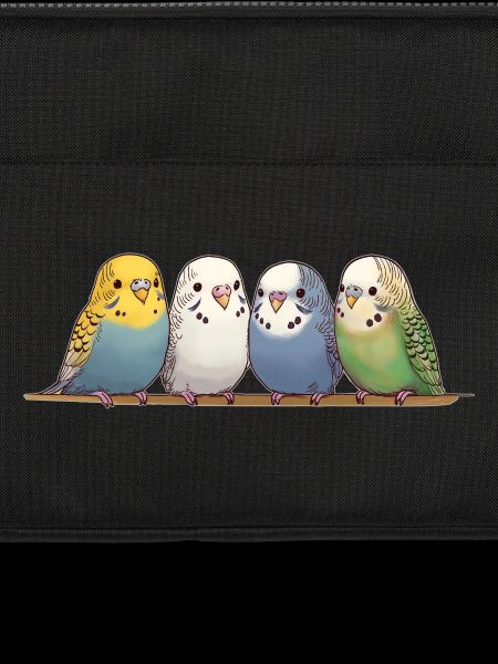 Funny budgies