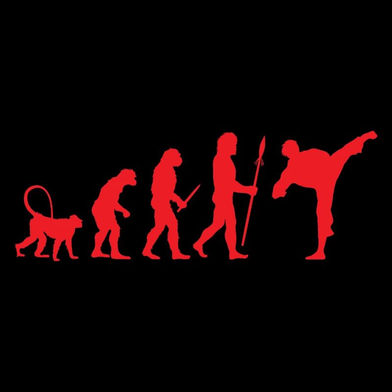 Entwicklung von Karate