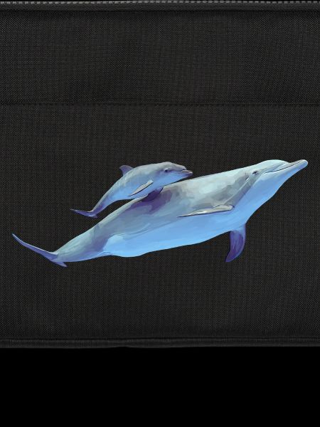 Dolphin
