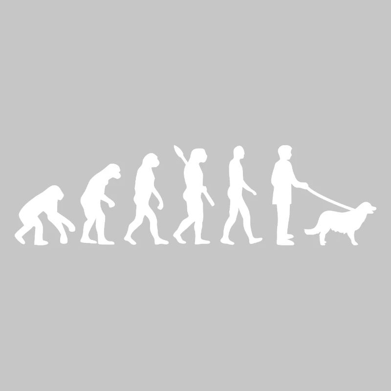 Evolution to Dog Walker