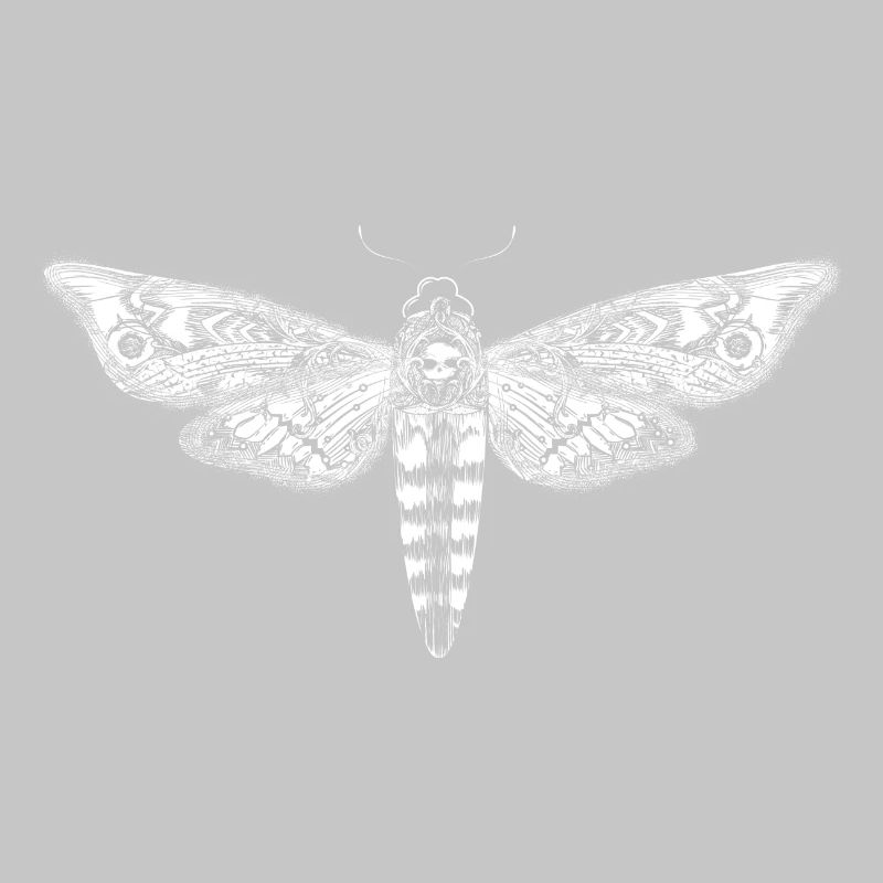 Dessin d'un essaim de crâne blanc