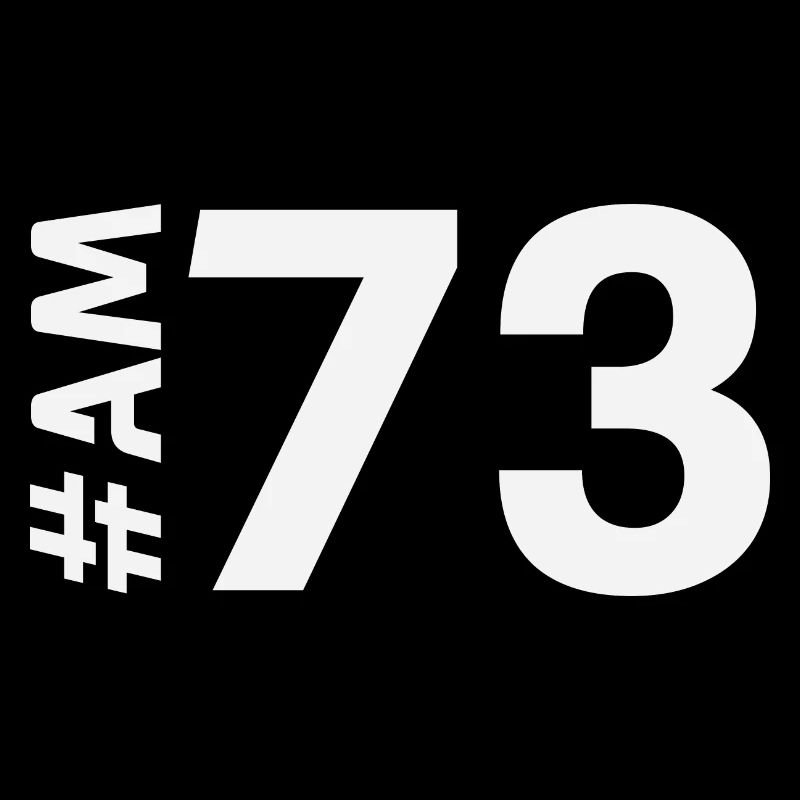 AM73