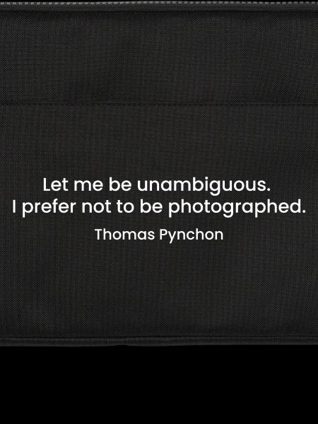 Thomas Pynchon quote