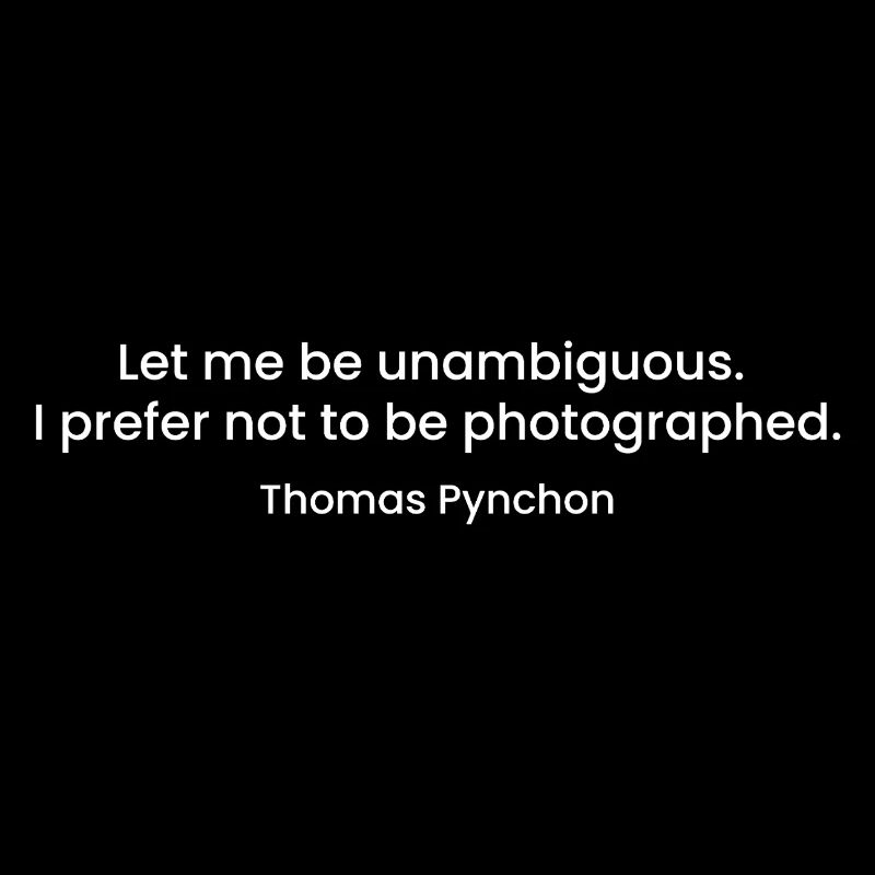 Thomas Pynchon quote